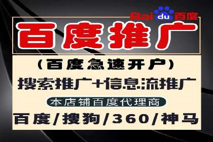 竞价端口开户后的广告投放策略案例