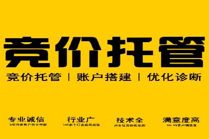 百度推广代运营的精准营销策略探讨